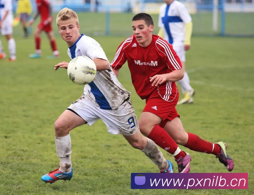 多媒体互动体验